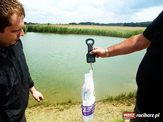 Zdjęcie w galerii na portalu naszraciborz.pl: Ryba brała na wędkarskim Dniu Dziecka na Babiczoku wiadomości z regionu