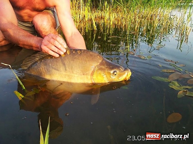 Zdjęcie w galerii na portalu naszraciborz.pl: Ryba brała na wędkarskim Dniu Dziecka na Babiczoku wiadomości z regionu