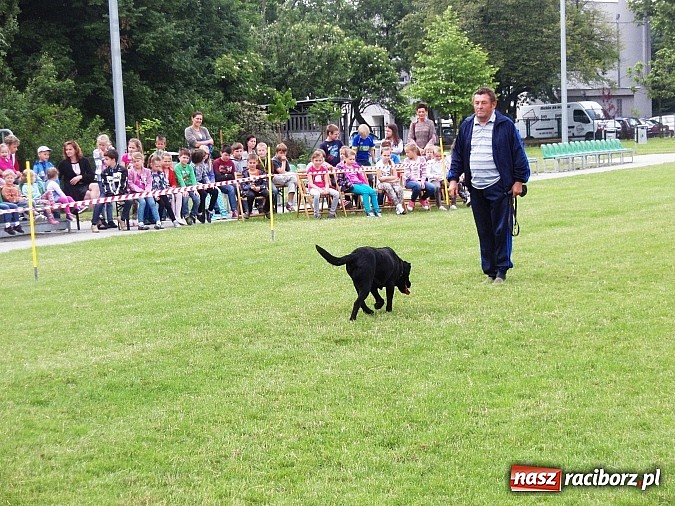 Zdjęcie w galerii na portalu naszraciborz.pl: Festyn rodzinny z okazji Dnia dziecka na Płoni  wiadomości z regionu
