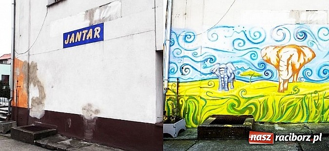 Zdjęcie w galerii na portalu naszraciborz.pl: W Kuźni Raciborskiej odnowiono teren Plac&oacute;wki Opiekuńczo-Wychowawczej wiadomości z regionu