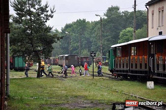 Zdjęcie w galerii na portalu naszraciborz.pl: Pierwszoklasiści z Kuźni Raciborskiej znają zasady bezpieczeństwa w ruchu drogowym wiadomości z regionu