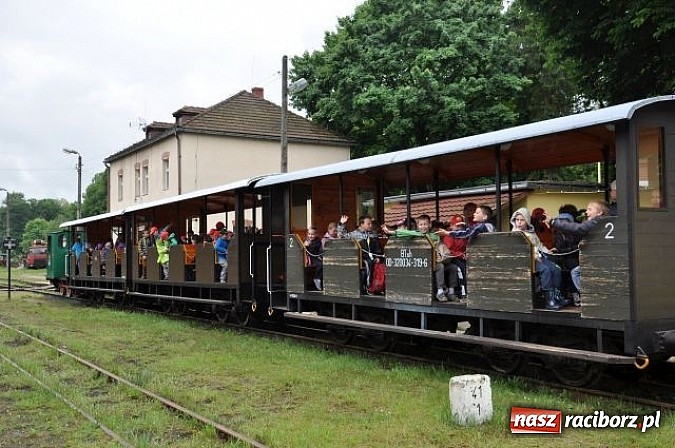 Zdjęcie w galerii na portalu naszraciborz.pl: Pierwszoklasiści z Kuźni Raciborskiej znają zasady bezpieczeństwa w ruchu drogowym wiadomości z regionu