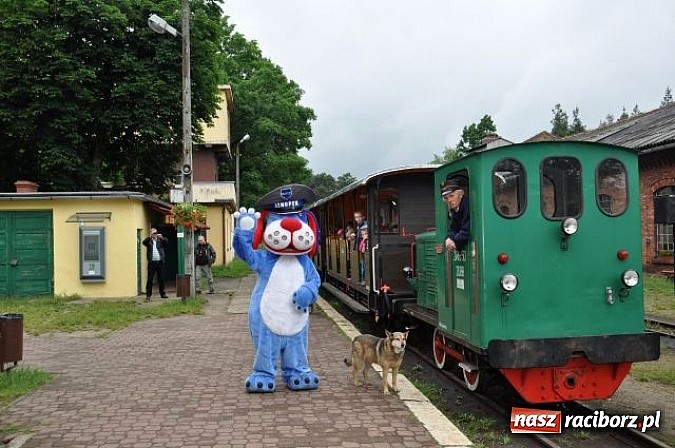 Zdjęcie w galerii na portalu naszraciborz.pl: Pierwszoklasiści z Kuźni Raciborskiej znają zasady bezpieczeństwa w ruchu drogowym wiadomości z regionu