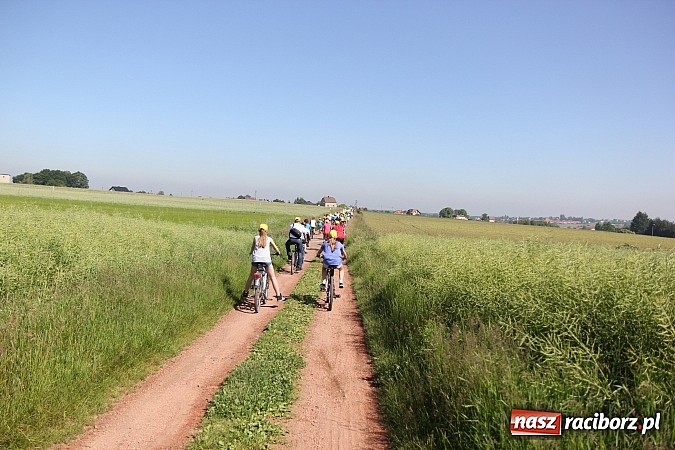 Zdjęcie w galerii na portalu naszraciborz.pl: Świetna frekwencja na Rajdzie Rowerowym w Kobyli. Na starcie ponad 100 osób wiadomości z regionu