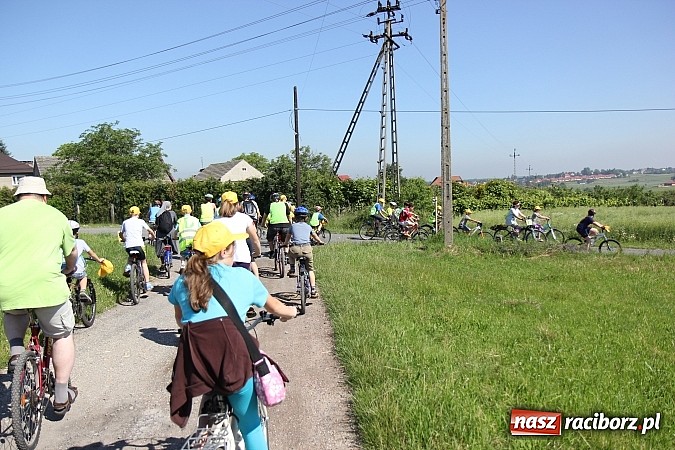 Zdjęcie w galerii na portalu naszraciborz.pl: Świetna frekwencja na Rajdzie Rowerowym w Kobyli. Na starcie ponad 100 osób wiadomości z regionu