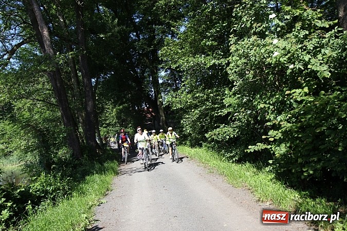 Zdjęcie w galerii na portalu naszraciborz.pl: Świetna frekwencja na Rajdzie Rowerowym w Kobyli. Na starcie ponad 100 osób wiadomości z regionu