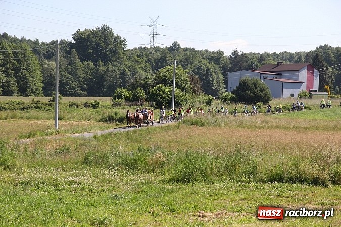 Zdjęcie w galerii na portalu naszraciborz.pl: Świetna frekwencja na Rajdzie Rowerowym w Kobyli. Na starcie ponad 100 osób wiadomości z regionu