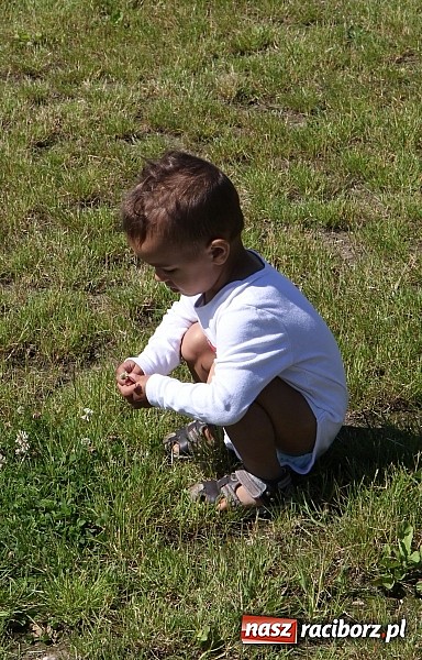 Zdjęcie w galerii na portalu naszraciborz.pl: Świetna frekwencja na Rajdzie Rowerowym w Kobyli. Na starcie ponad 100 osób wiadomości z regionu