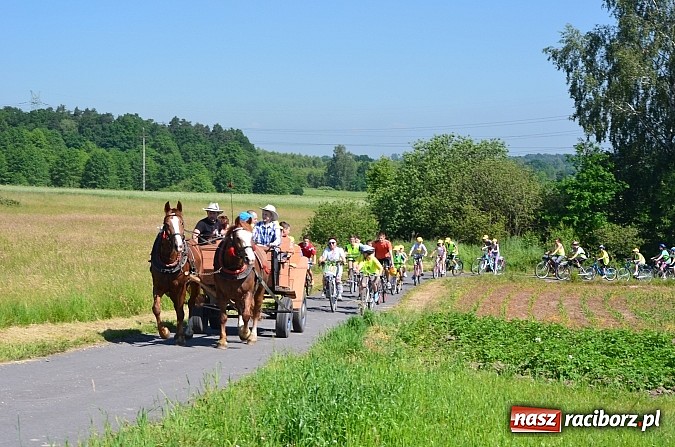 Zdjęcie w galerii na portalu naszraciborz.pl: Świetna frekwencja na Rajdzie Rowerowym w Kobyli. Na starcie ponad 100 osób wiadomości z regionu