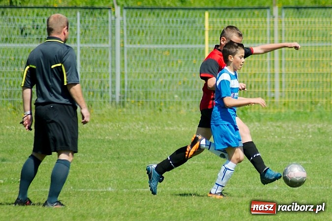 Zdjęcie w galerii na portalu naszraciborz.pl: Liga Młodzików: Kanonada przy Zamkowej wiadomości z regionu