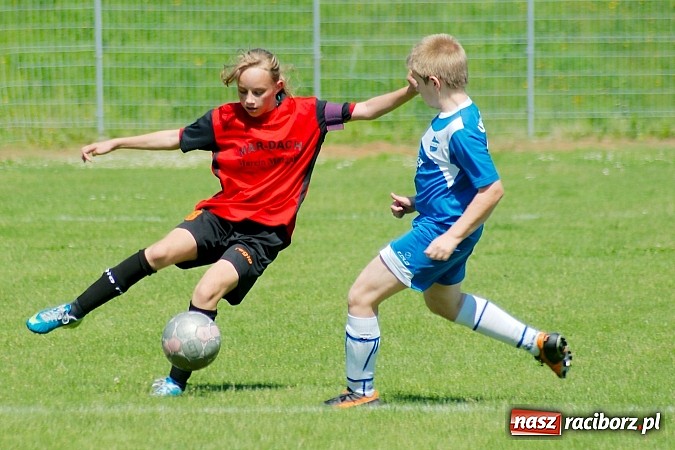 Zdjęcie w galerii na portalu naszraciborz.pl: Liga Młodzików: Kanonada przy Zamkowej wiadomości z regionu