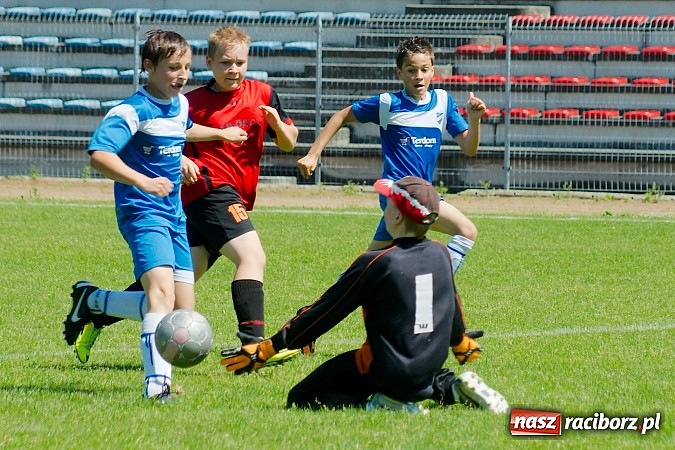 Zdjęcie w galerii na portalu naszraciborz.pl: Liga Młodzików: Kanonada przy Zamkowej wiadomości z regionu