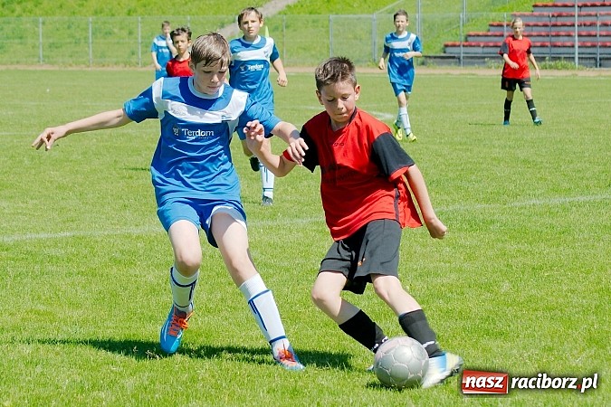 Zdjęcie w galerii na portalu naszraciborz.pl: Liga Młodzików: Kanonada przy Zamkowej wiadomości z regionu