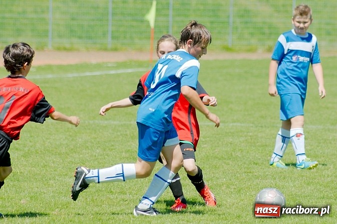 Zdjęcie w galerii na portalu naszraciborz.pl: Liga Młodzików: Kanonada przy Zamkowej wiadomości z regionu