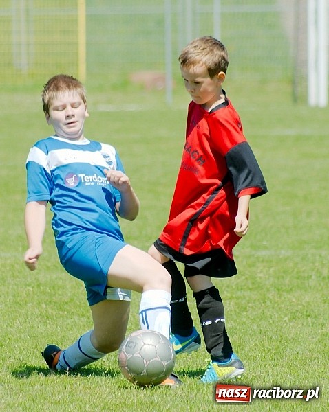 Zdjęcie w galerii na portalu naszraciborz.pl: Liga Młodzików: Kanonada przy Zamkowej wiadomości z regionu