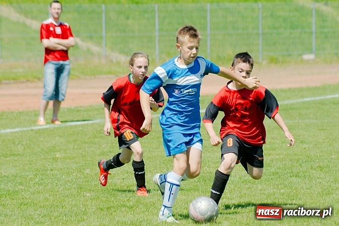 Zdjęcie w galerii na portalu naszraciborz.pl: Liga Młodzików: Kanonada przy Zamkowej wiadomości z regionu