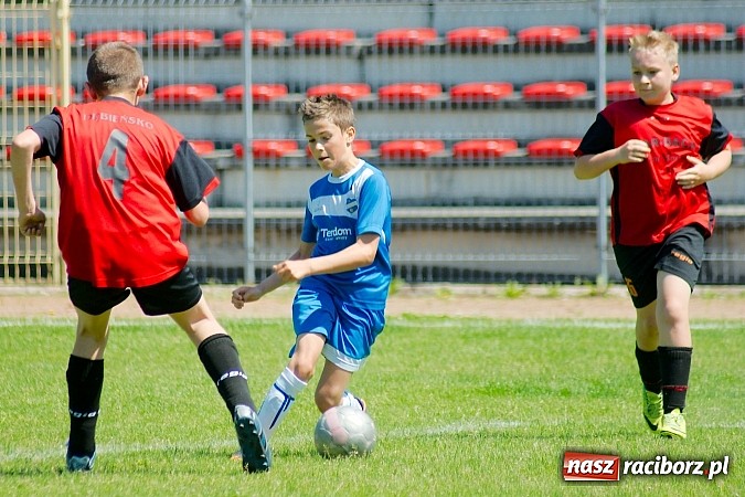 Zdjęcie w galerii na portalu naszraciborz.pl: Liga Młodzików: Kanonada przy Zamkowej wiadomości z regionu