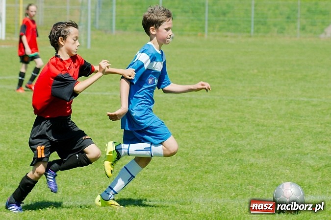 Zdjęcie w galerii na portalu naszraciborz.pl: Liga Młodzików: Kanonada przy Zamkowej wiadomości z regionu