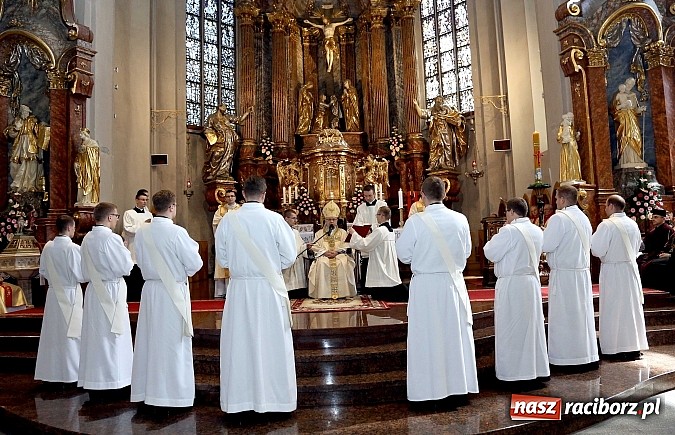 Zdjęcie w galerii na portalu naszraciborz.pl: Dwóch raciborzan przyjęło święcenia kapłańskie w katedrze opolskiej wiadomości z regionu