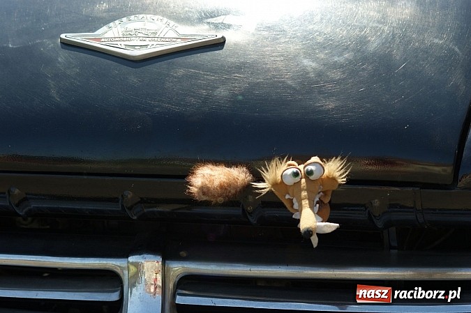 Zdjęcie w galerii na portalu naszraciborz.pl: Od Hulczyna do Bieńkowic - Prajzska Rely 2014 wiadomości z regionu