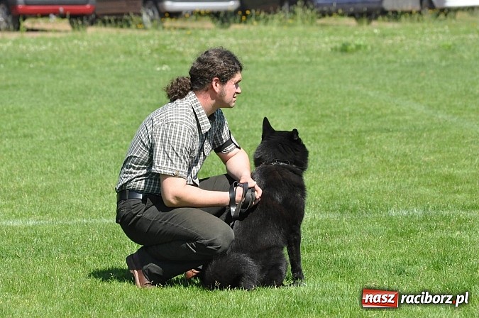 Zdjęcie w galerii na portalu naszraciborz.pl: XX Jubileuszowa Krajowa Wystawa Psów Rasowych  wiadomości z regionu