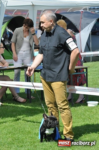Zdjęcie w galerii na portalu naszraciborz.pl: XX Jubileuszowa Krajowa Wystawa Psów Rasowych  wiadomości z regionu