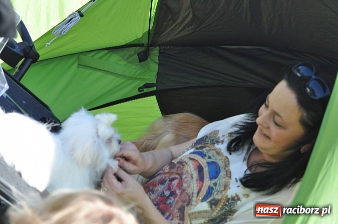 Zdjęcie w galerii na portalu naszraciborz.pl: XX Jubileuszowa Krajowa Wystawa Psów Rasowych  wiadomości z regionu