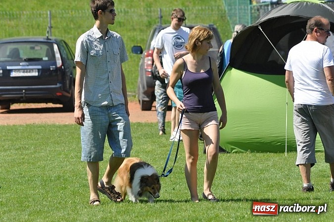 Zdjęcie w galerii na portalu naszraciborz.pl: XX Jubileuszowa Krajowa Wystawa Psów Rasowych  wiadomości z regionu