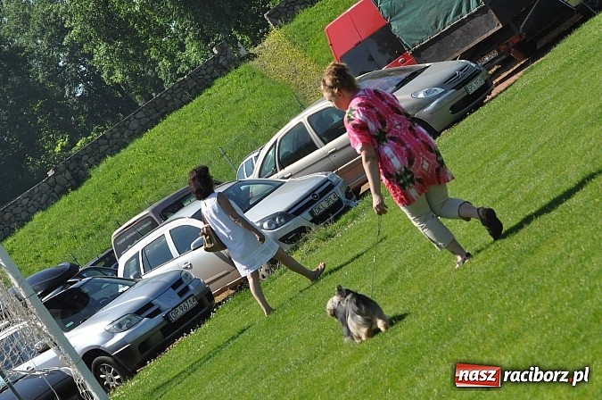 Zdjęcie w galerii na portalu naszraciborz.pl: XX Jubileuszowa Krajowa Wystawa Psów Rasowych  wiadomości z regionu