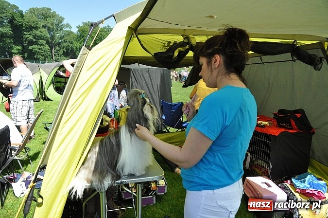 Zdjęcie w galerii na portalu naszraciborz.pl: XX Jubileuszowa Krajowa Wystawa Psów Rasowych  wiadomości z regionu
