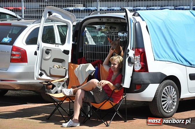 Zdjęcie w galerii na portalu naszraciborz.pl: XX Jubileuszowa Krajowa Wystawa Psów Rasowych  wiadomości z regionu