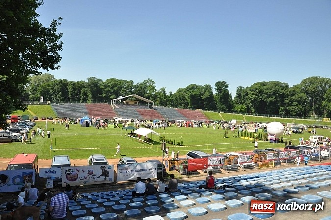 Zdjęcie w galerii na portalu naszraciborz.pl: XX Jubileuszowa Krajowa Wystawa Psów Rasowych  wiadomości z regionu