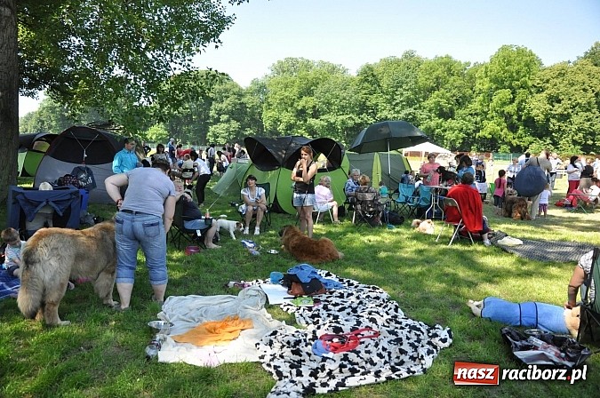 Zdjęcie w galerii na portalu naszraciborz.pl: XX Jubileuszowa Krajowa Wystawa Psów Rasowych  wiadomości z regionu