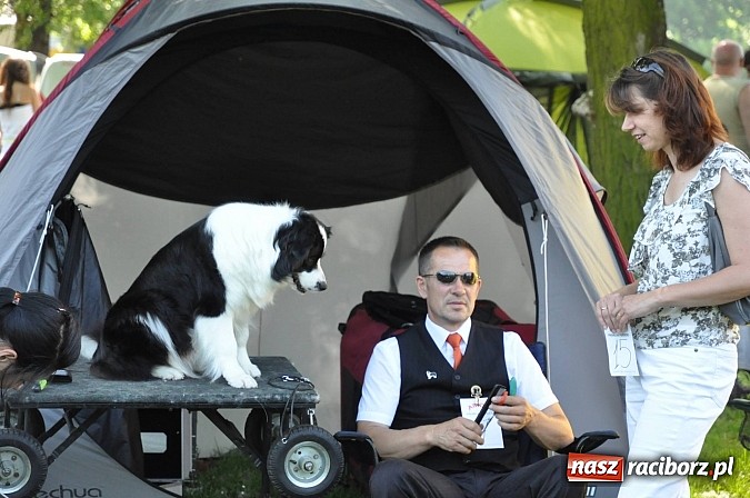 Zdjęcie w galerii na portalu naszraciborz.pl: XX Jubileuszowa Krajowa Wystawa Psów Rasowych  wiadomości z regionu