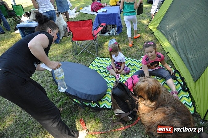 Zdjęcie w galerii na portalu naszraciborz.pl: XX Jubileuszowa Krajowa Wystawa Psów Rasowych  wiadomości z regionu