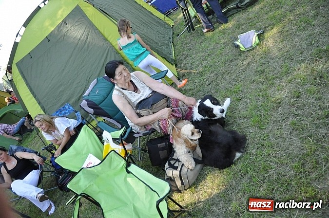 Zdjęcie w galerii na portalu naszraciborz.pl: XX Jubileuszowa Krajowa Wystawa Psów Rasowych  wiadomości z regionu