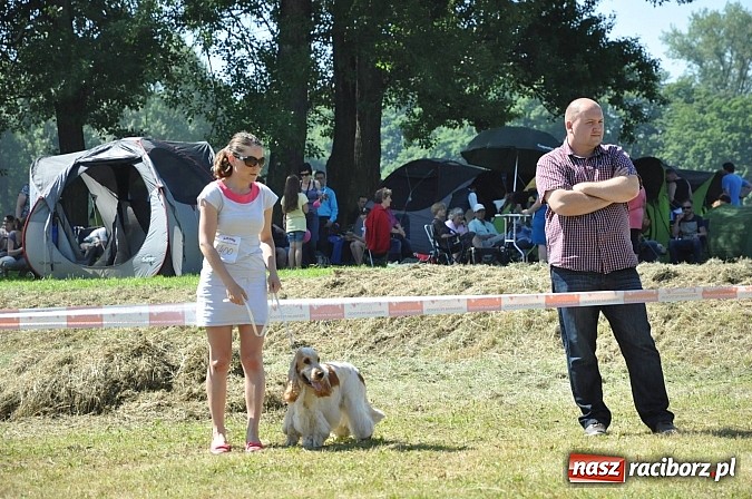 Zdjęcie w galerii na portalu naszraciborz.pl: XX Jubileuszowa Krajowa Wystawa Psów Rasowych  wiadomości z regionu