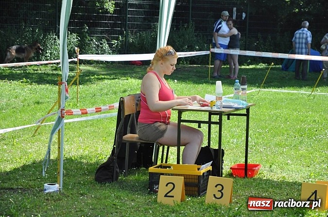 Zdjęcie w galerii na portalu naszraciborz.pl: XX Jubileuszowa Krajowa Wystawa Psów Rasowych  wiadomości z regionu