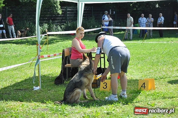 Zdjęcie w galerii na portalu naszraciborz.pl: XX Jubileuszowa Krajowa Wystawa Psów Rasowych  wiadomości z regionu