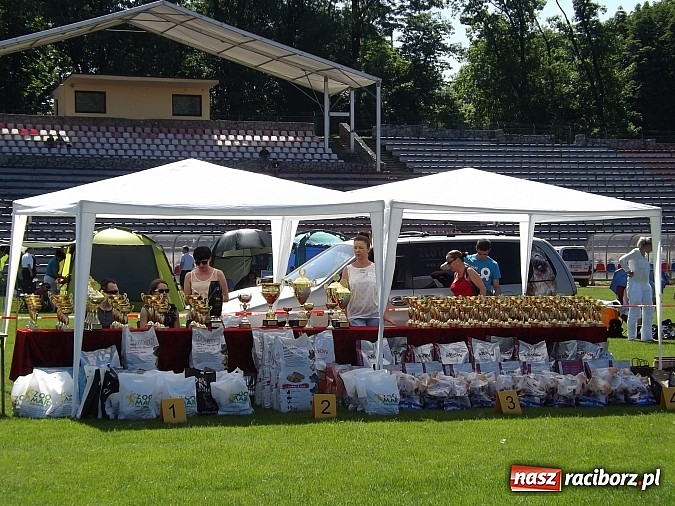 Zdjęcie w galerii na portalu naszraciborz.pl: XX Jubileuszowa Krajowa Wystawa Psów Rasowych  wiadomości z regionu