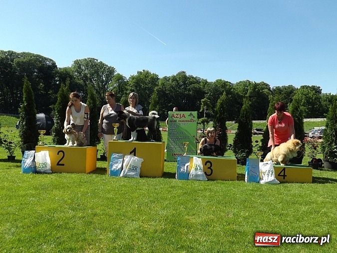 Zdjęcie w galerii na portalu naszraciborz.pl: XX Jubileuszowa Krajowa Wystawa Psów Rasowych  wiadomości z regionu