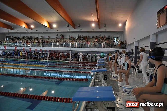 Zdjęcie w galerii na portalu naszraciborz.pl: XI Międzynarodowe Zawody Pływackie w H2Ostróg wiadomości z regionu