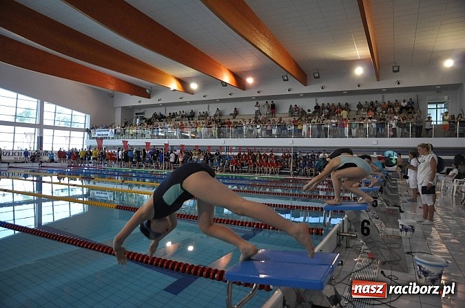Zdjęcie w galerii na portalu naszraciborz.pl: XI Międzynarodowe Zawody Pływackie w H2Ostróg wiadomości z regionu