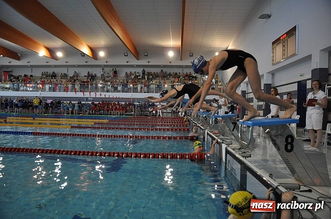 Zdjęcie w galerii na portalu naszraciborz.pl: XI Międzynarodowe Zawody Pływackie w H2Ostróg wiadomości z regionu
