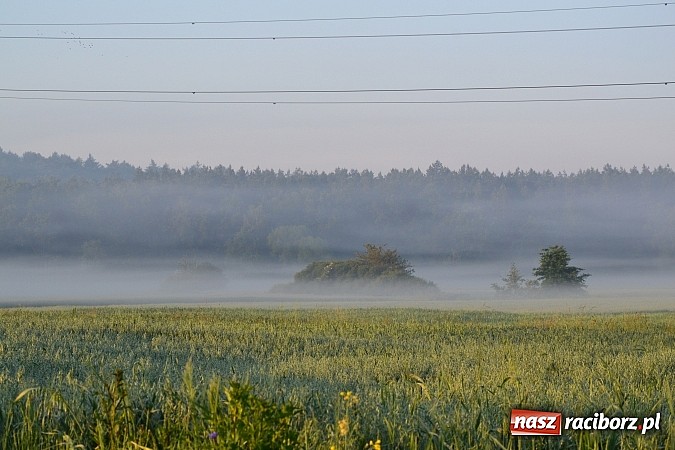 Zdjęcie w galerii na portalu naszraciborz.pl: Magiczna poranna mgła nad Raciborzem wiadomości z regionu