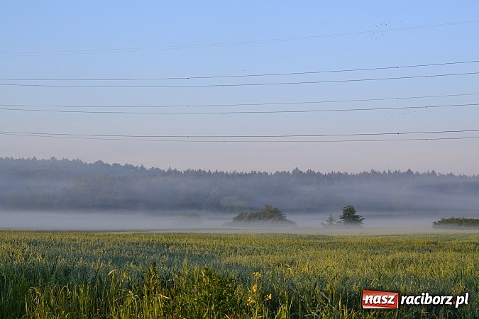 Zdjęcie w galerii na portalu naszraciborz.pl: Magiczna poranna mgła nad Raciborzem wiadomości z regionu