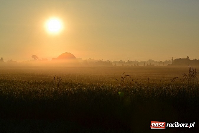 Zdjęcie w galerii na portalu naszraciborz.pl: Magiczna poranna mgła nad Raciborzem wiadomości z regionu