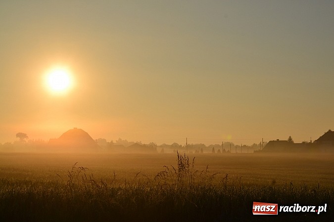 Zdjęcie w galerii na portalu naszraciborz.pl: Magiczna poranna mgła nad Raciborzem wiadomości z regionu