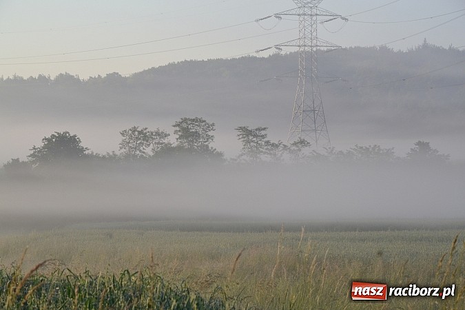 Zdjęcie w galerii na portalu naszraciborz.pl: Magiczna poranna mgła nad Raciborzem wiadomości z regionu