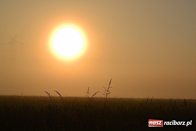 Zdjęcie w galerii na portalu naszraciborz.pl: Magiczna poranna mgła nad Raciborzem wiadomości z regionu